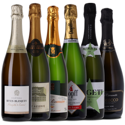 Sparkling Wine Case - Sparkling Wine Case