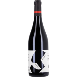 Weingut Walter Glatzer Gotinsprun DAC 2022 Bio - 0,75 l