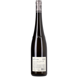 Weingut Birgit Eichinger Riesling Ried Gaisberg 1. Lage ÖTW 2023 - 0,75 l