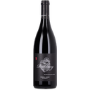 Weingut Kopfensteiner Reihburg Blaufränkisch DAC Reserve 2019 - 0,75 L