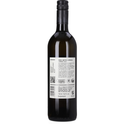 Weingut Günter u. Regina Triebaumer Ried GEYERUMRISS Furmint 2023 - 0,75 L