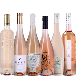 6er Set: Rosé all Day - 6 x 0,75l