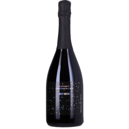 Himmel voller Sterne Brut 2013