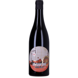 Weingut Gerhard Pittnauer St. Laurent vom Dorf 2020 - 0,75 L